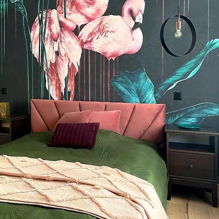 בידגוז'יז' Apartamenty Paderewskiego 1 מראה חיצוני תמונה
